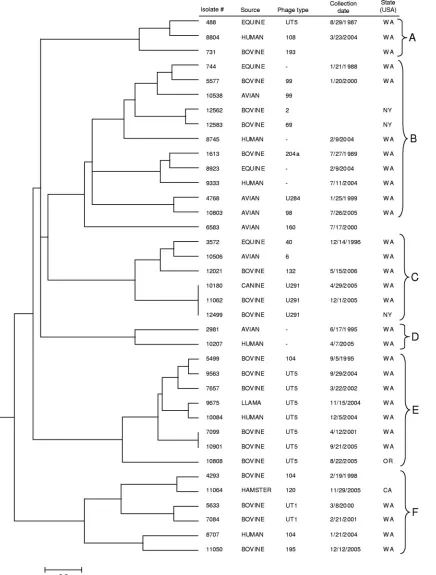 FIG. 3. Dendrogram for 37 S. enterica serovar Typhimurium isolates constructed using UPGMA with Dice coefﬁcients for PFGE data (PFGEonly)
