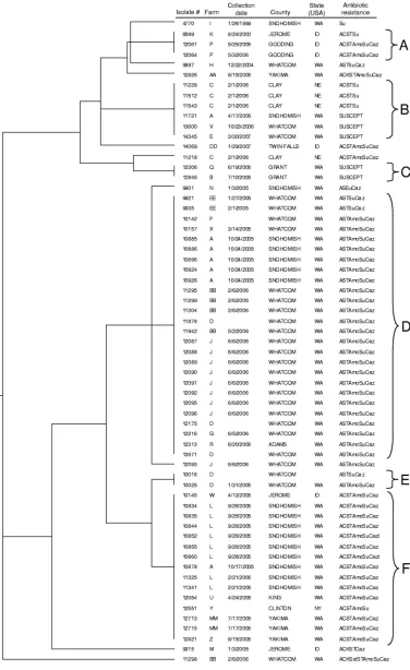 FIG. 6. Dendrogram for 63 S. enterica serovar Newport isolates constructed using UPGMA with Dice coefﬁcients for PFGE data (PFGE only).The scale bar represents a measure of genetic distance.