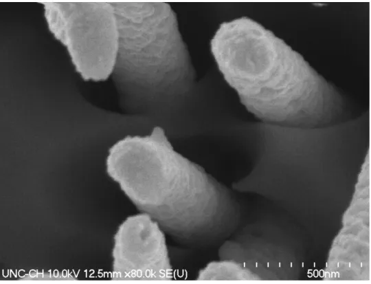 Figure 3.8: High magnification SEM of 200 nm Au nanowires showing the amount of surface roughness.