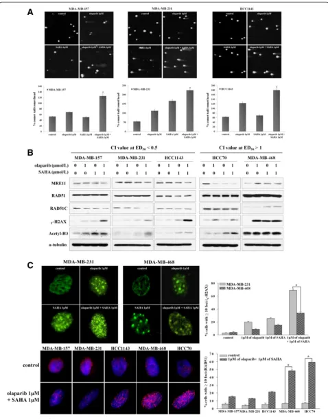 Figure 3 (See legend on next page.)