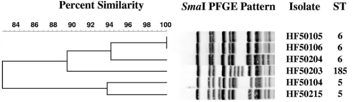 FIG. 2. Dendrogram showing comparisons of SmaI PFGE patterns for six vanA-containing Enterococcus faecium isolates from swine in threeMichigan counties.