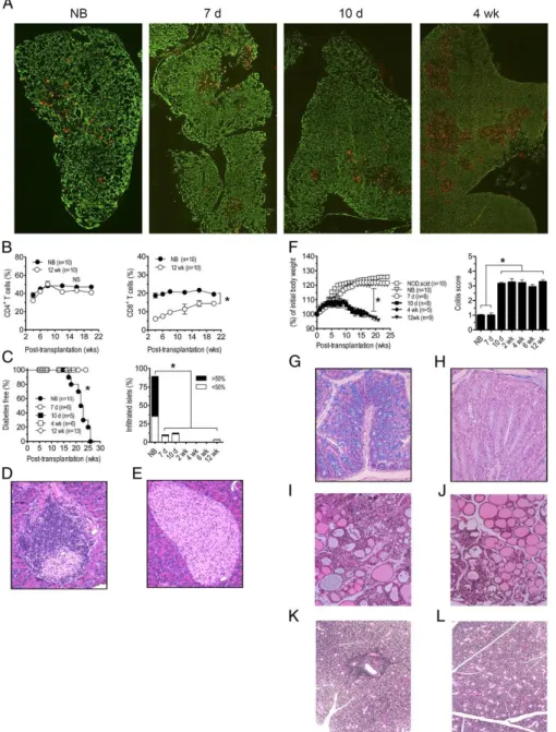 Figure 1. Reciprocal development of diabetes and colitis in NOD.scid recipients is dependent on  the age of NOD donor thymus