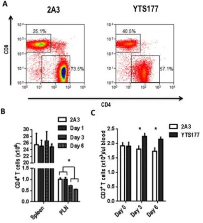 Figure 6. T cells migrate from lymph nodes and enter circulation following administration of  YTS177