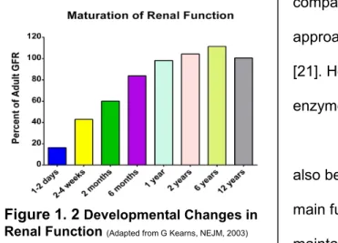 Figure 1. 1 Changes in Liver Size as a  Function of Age  