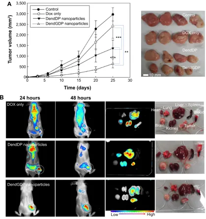 Figure 5 anticancer activity of dendrimer nanoparticles.Notes: (A) anticancer activity of dendrimer nanoparticles and (B) near-infrared fluorescence images for CT26-bearing male nude BALB/c mice