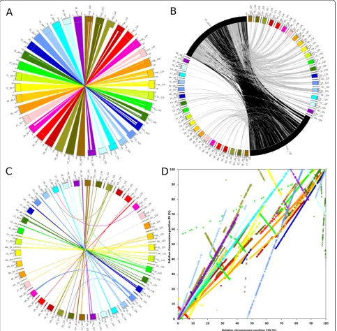 Figure 2 Plots of the relative position of predicted genes between the 12Xv1 and the 8X coverage assemblies of the grapevinewere arbitrarily set to 1/10th the regular chromosome size