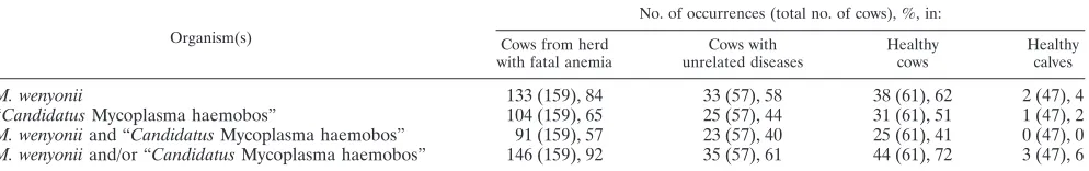 TABLE 2. Frequency distribution of the two bovine hemoplasma species in the examined cattle populations, assessed using real-time PCR
