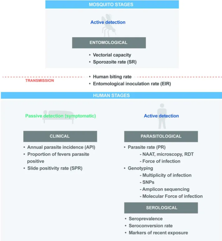 Fig 2. Key programmatic and research metrics across the malaria parasite transmission cycle