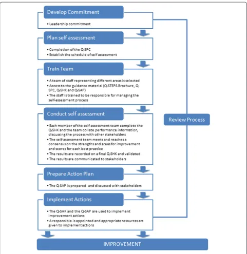 Figure 1 Q-STEPS process steps.