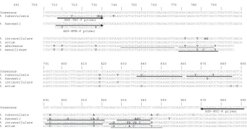 FIG. 1. Primer and probe positions developed for the identiﬁcation of Mycobacteriumalignment