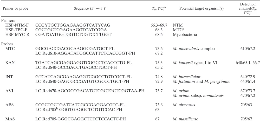 TABLE 4. Measurement of melting temperatures of target Mycobacterium species by hsp65 multiprobe real-time PCR
