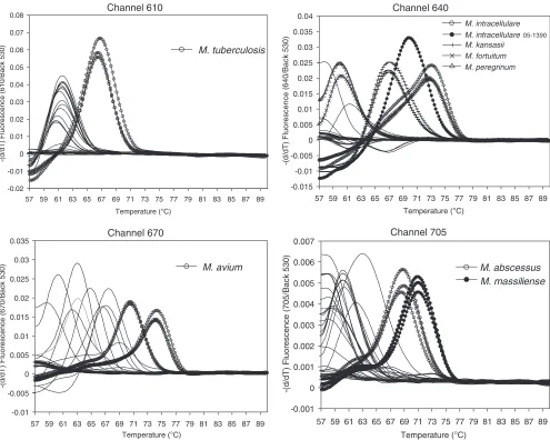 FIG. 2. hspM. kansasiitemperatures. The strains tested are the same ones listed in Table 1 and were tested in duplicate or triplicate