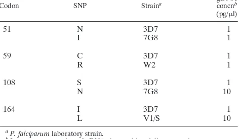 TABLE 3. Analytical sensitivity of the genotyping assay for eachSNP using MCA