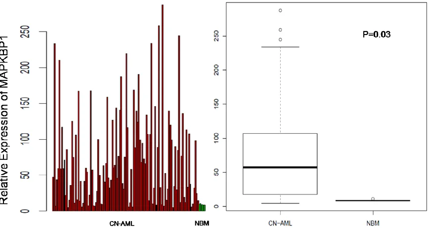 Figure 1: Expression of MAPKBP1 in CN-AML patients and normal bone marrow. Relative expression of MAPKBP1 in 116 CN-AML cases compared with 5 normal bone marrow samples.
