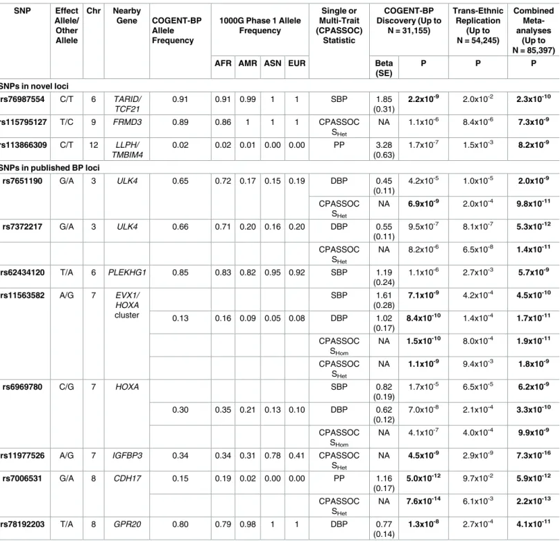Table 1. Loci identified in combined COGENT-BP African ancestry discovery samples and multi-ethnic replication samples.