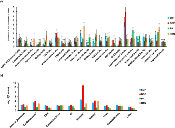 Fig 3. Enrichment for functional annotations and cell-type groups using stratified LD score regression