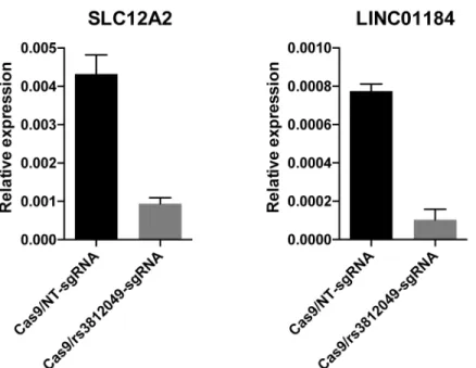 Fig 1. Small indels around rs3812049 reduce expression of both SLC12A2 and LINC01184 in HUDEP-2 cells