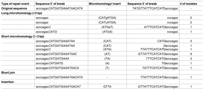 Table 2. ATPase-dead P{w a } repair junctions.