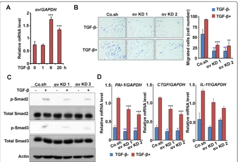 Figure 4 αPCR, and normalized towere cultured with or without TGF-assay. Control and knockdown MDA-MB-231 cells were treated with or without 5 ng/ml TGF-cell numbers of migrated cells ± SD.orcells inhibits expression of TGF-v integrin and transforming grow