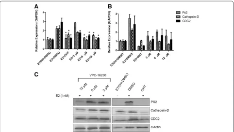 Figure 9 The lead compounds inhibit mRNA and protein expression levels of oestrogen receptor-alpha-dependent genes