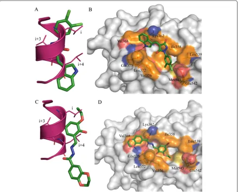 Figure 10 Binding orientation of VPC-13002 and VPC-16230 inside the oestrogen receptor activation function 2 pocket