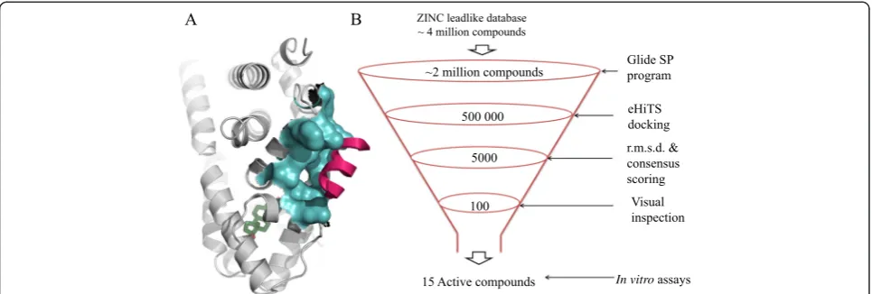 Figure 1 Graphic representation of oestrogen receptor-alpha activation function 2 pocket andAF2 pocket is shown in cyan, coactivator in magenta and oestradiol (E2) in green.The numbers indicate compounds obtained after each screening step