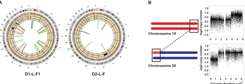 Fig 2. Structural changes detected in skin fibroblast clones D1-L-F1 and D2-L-F. (A) All genome changes detected in D1-L-F1 and D2-L-F clones.