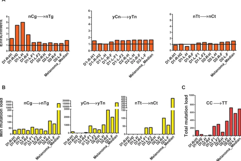 Fig 4. Analysis of mechanistic knowledge-based mutation signatures in the genomes of skin fibroblasts