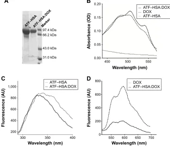 Figure S2 Fluorescence excitation spectra of DOX, ATF–HSA:DOX, and ATF–HSA.Notes: Fluorescence excitation spectra of DOX (5 μM),  ATF–HSA:DOX (5 μM), and aTF–hsa (5 μM) in phosphate-buffered saline
