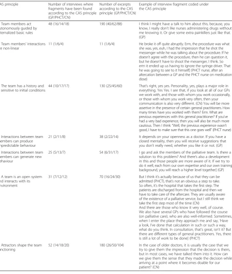 Table 3 Number of interviews and excerpts per CAS principle with illustration of an interview fragment