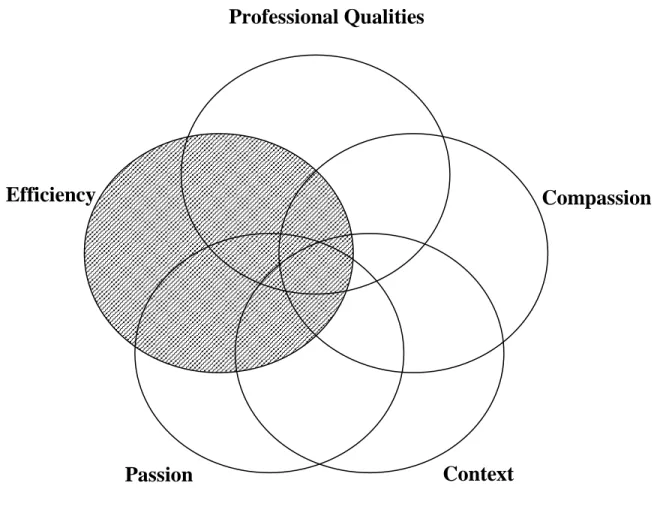 Figure 4.  Interactions between Dimensions--Efficiency                             