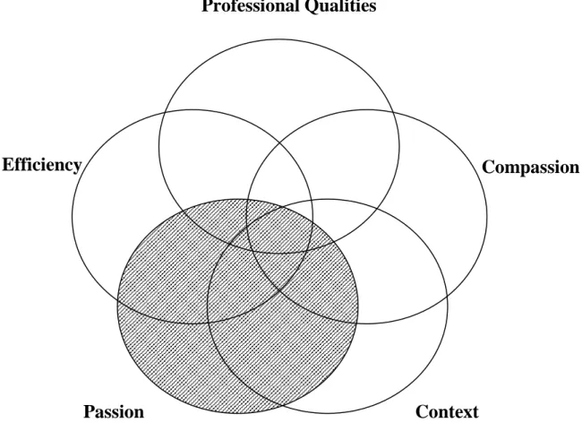 Figure 6.  Interactions between Dimensions--Passion                             