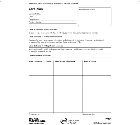 Fig. 2 Care Plan from Concerns Checklist