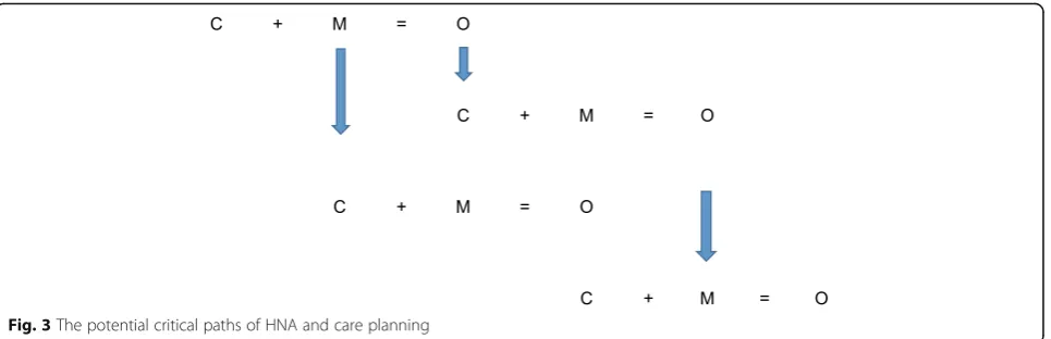 Fig. 3 The potential critical paths of HNA and care planning