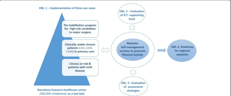 Fig. 1 Settings of the implementation studies. The figure shows two interoperable domains with technological elements providing support tothe services promoting active lifestyles integrated within the action plan of the patient