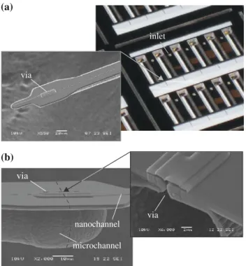 Fig. 2 Electrospray chips, where a the inset shows a nano-slit electrospray emitter suspended on a microchannel probe and b micrographs of the via connection between nanochannel and microchannel, where the inset shows a FIB cut through the fluidic via