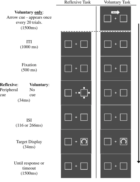 Figure 1. Example trial sequences for the reflexive and voluntary tasks. Note that the  stimuli have been enlarged for ease of viewing