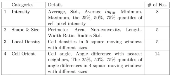 Table 2.1: Summary of cell features.