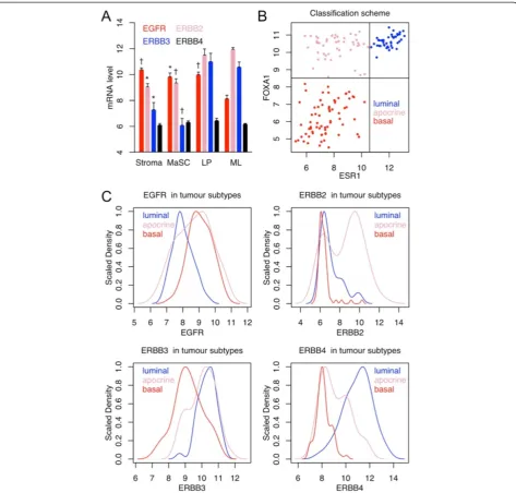 Figure 2 Epidermal growth factor receptor family gene expression in normal and tumor cells