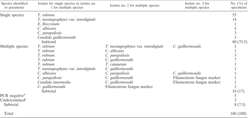 TABLE 2. Comparison of identiﬁcation rate by conventional culturemethods and PCR-DM method for 106 nail specimensa