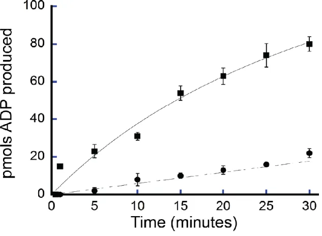 Figure 2.3 - ATP hydrolysis by Fancm as a function of temperature - Fancm ATPase activity was  examined as a function of temperature using 212 nM Fancm∆ and M13mp18 ssDNA as the DNA  co-factor