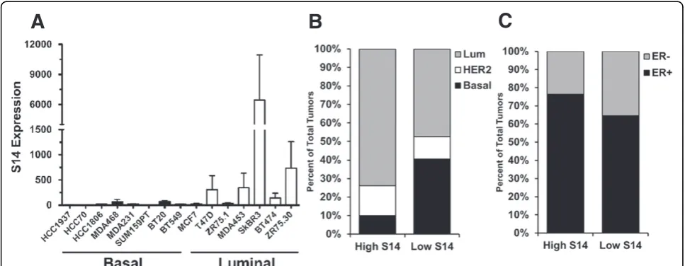 Figure 5 Association between S14 and tumor differentiation markers. (A)expression. Graph is mean + standard error of the mean