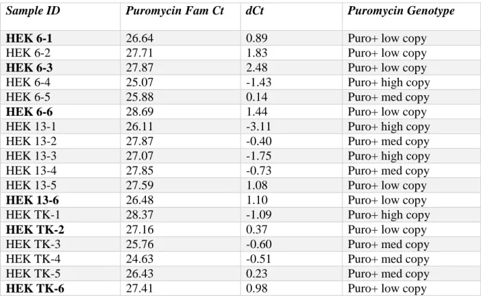 Table 3: Selection of Appropriate HEK293 Cell Lines for Transfection Experiments 