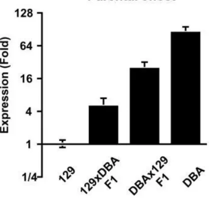 Figure 6: Transcription of Stab2 D  is Subject to Epigenetic Repression  