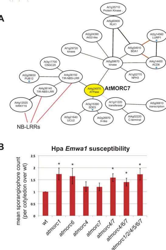 Fig 4. AtMORC4 and AtMORC7 act redundantly in pathogen defense. (A) ATTED-II microarray co- co-expression network for AtMORC7 [ http://atted.jp ]