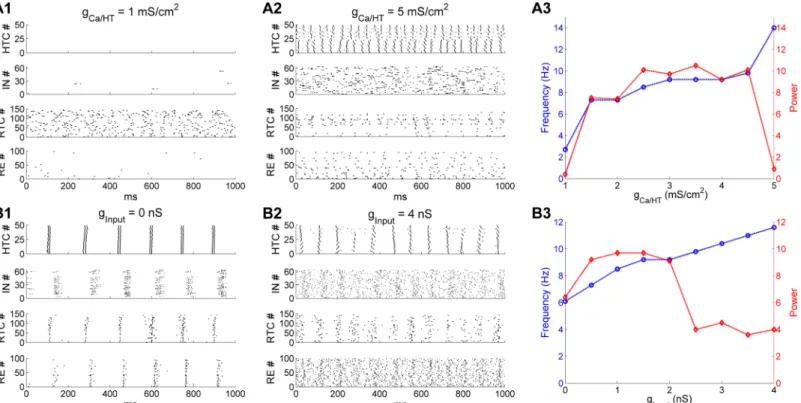 Fig 6. Thalamic α oscillations are sculpted by the high-threshold bursting dynamics of HTC cells