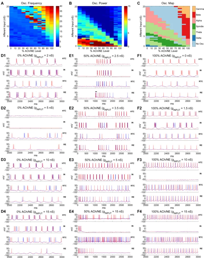 Fig 8. Oscillatory state transition as a function of ACh/NE modulation and afferent input