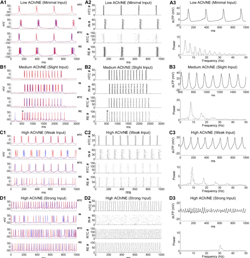 Fig 2. Generation of multiple distinct oscillations in the thalamic network model under three different levels of ACh/NE modulation and four different levels of afferent excitation