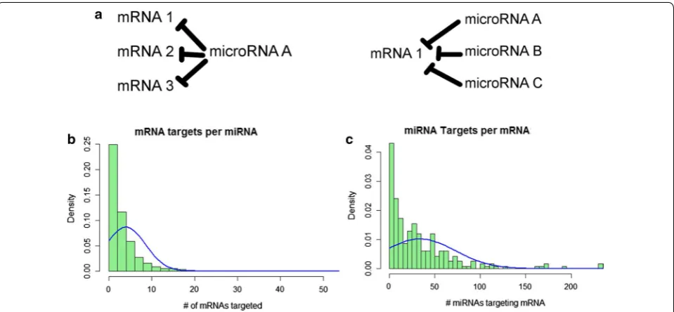 Fig. 2 miRNA–mRNA targeting interactions form complex networks. a Individual microRNAs may target multiple mRNAs; an individual mRNA may be targeted by multiple miRNAs