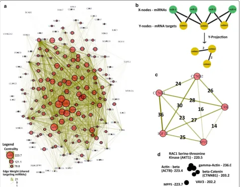 Fig. 3 Network plot for visualization of high edge-weight sub-network interactions and centrality